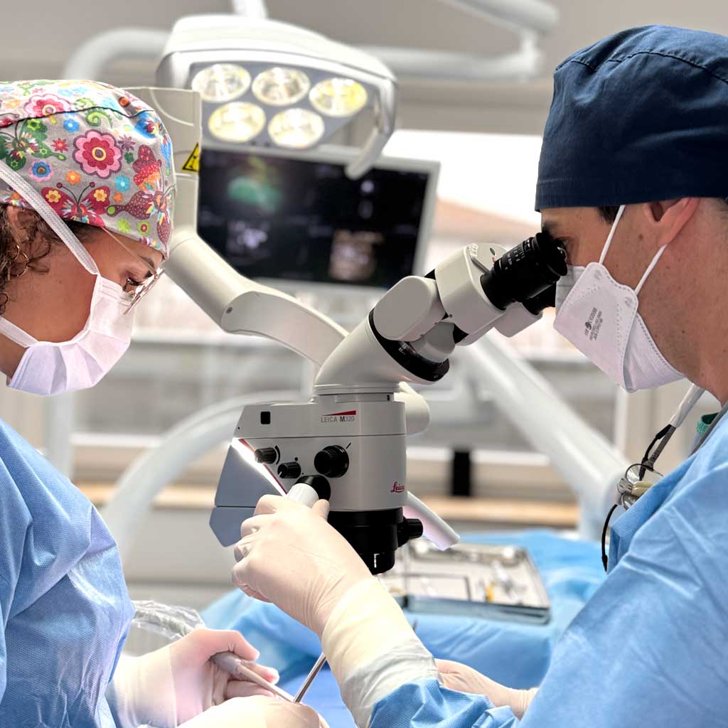 Oralchirurgie Neu-Isenburg